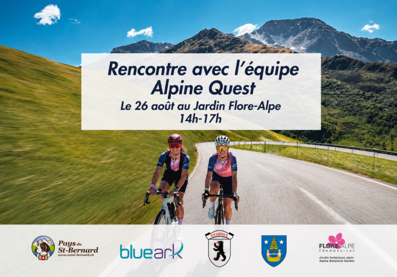 Meet the Alpine Quest Team!