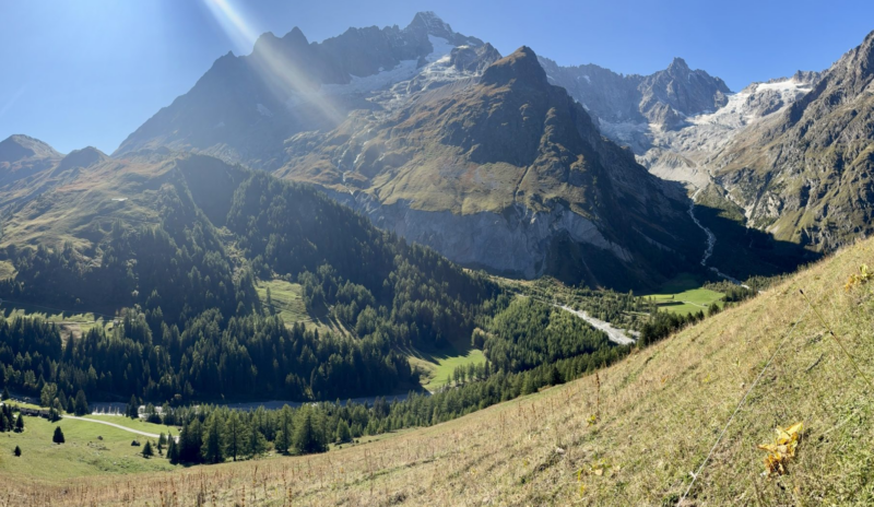 La Fouly, sa faune locale et ses buvettes