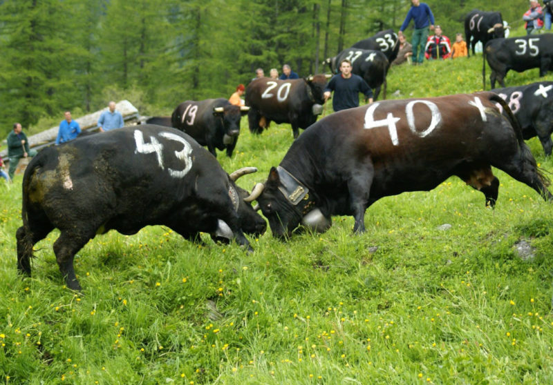 Inalpe des Ars