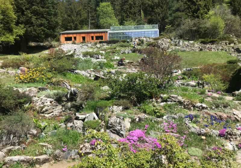 Der Garten von den Gärtnern erzählt