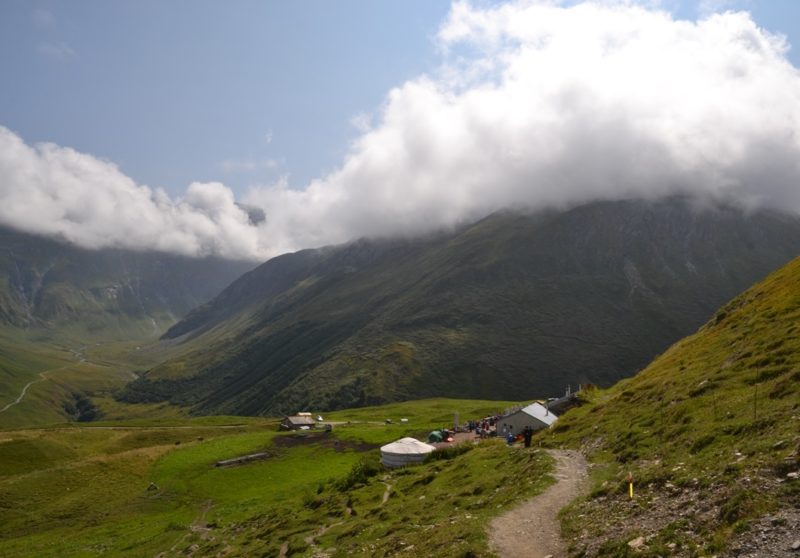 Visite d’alpage, initiation à la traite des vaches