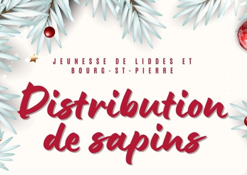 Distribution de sapin de Noël