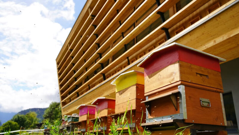 Abstimmung von Speisen, Honig und Wein