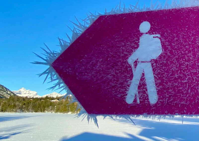 Conferenze su neve e ghiaccio