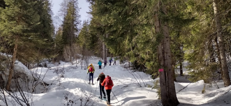 Sortie en raquettes - 