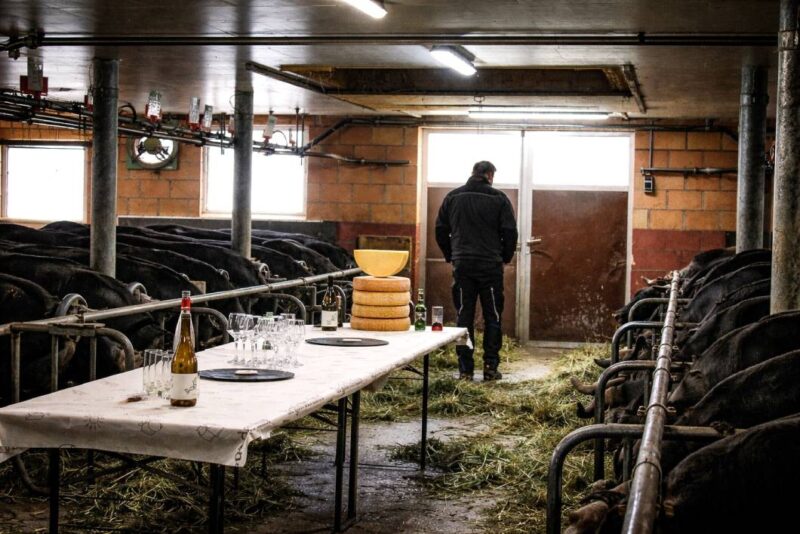Visite de ferme