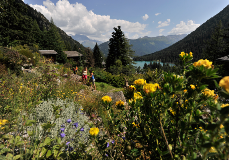 Festa della Natura