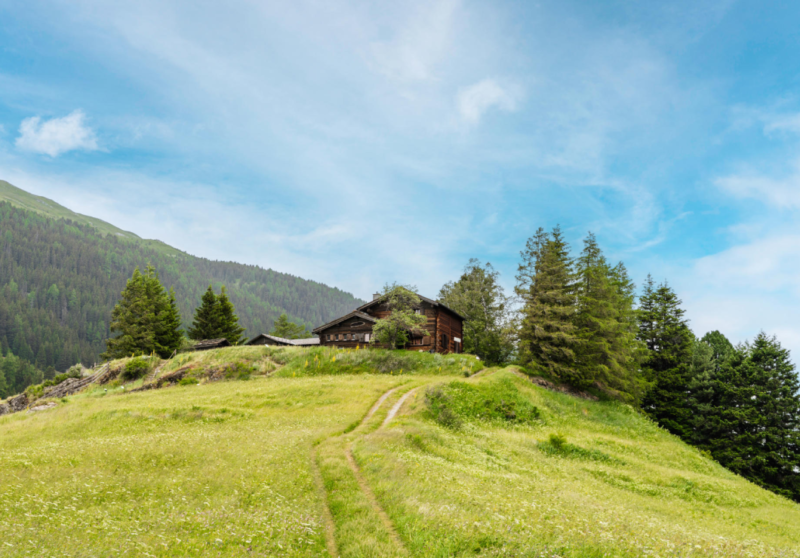 Im Zeichen der Blumen: Wandern und künstlerisches Gestalten