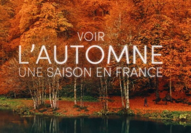 Vedi l'autunno
