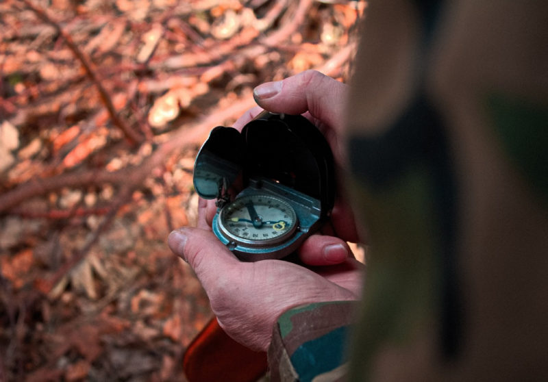 Budding explorers, let's get adventurous!