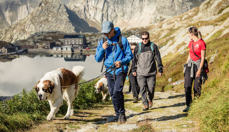 Wanderungen mit Bernhardinerhunden