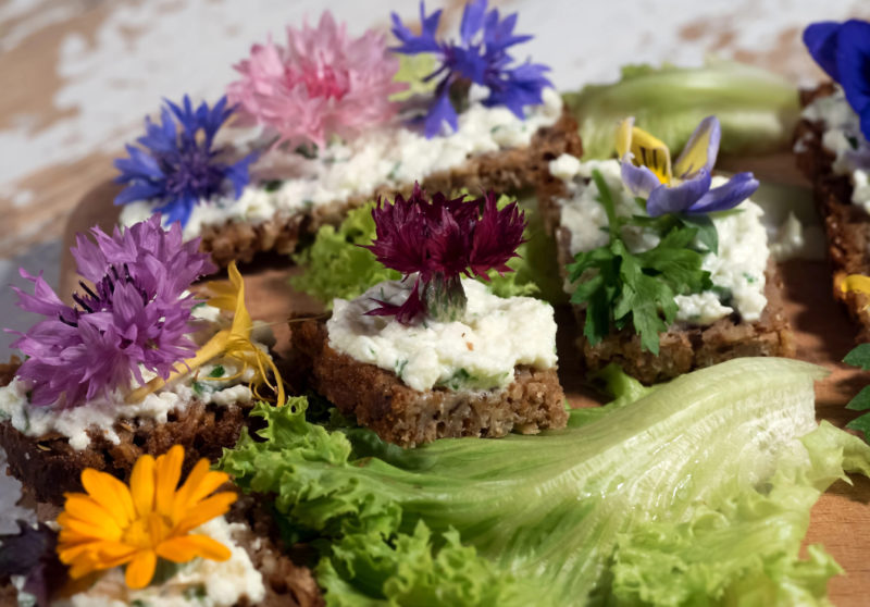 Vom Wanderweg auf den Teller: ein Gourmet-Abenteuer in den Bergen!