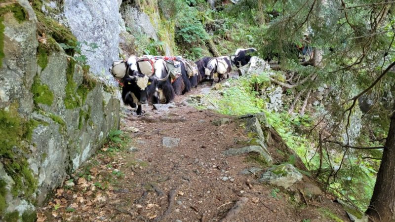 Entremont Trek
