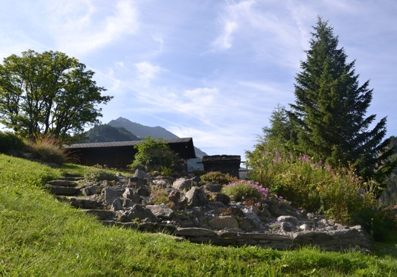 Führungen durch den botanischen Garten La Linnaea