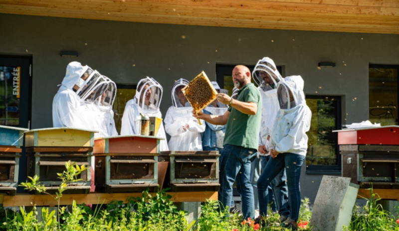 Unsere Wildbienen und unsere Pestizide