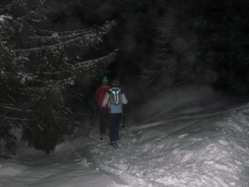 Passeggiata con la luna piena