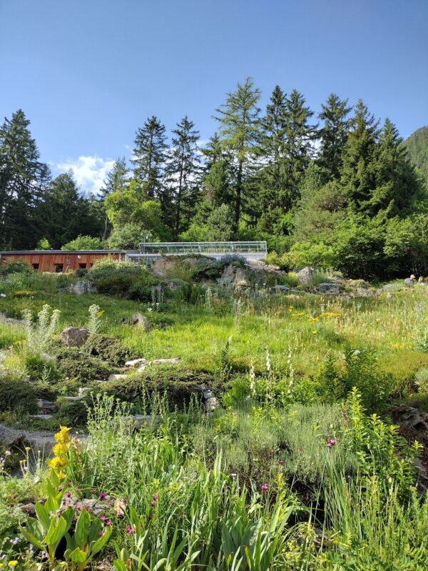 Ethnobotanische Führung