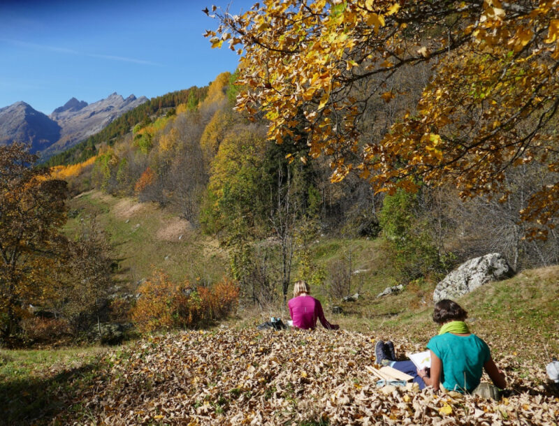 Watercolor workshops in autumn colors